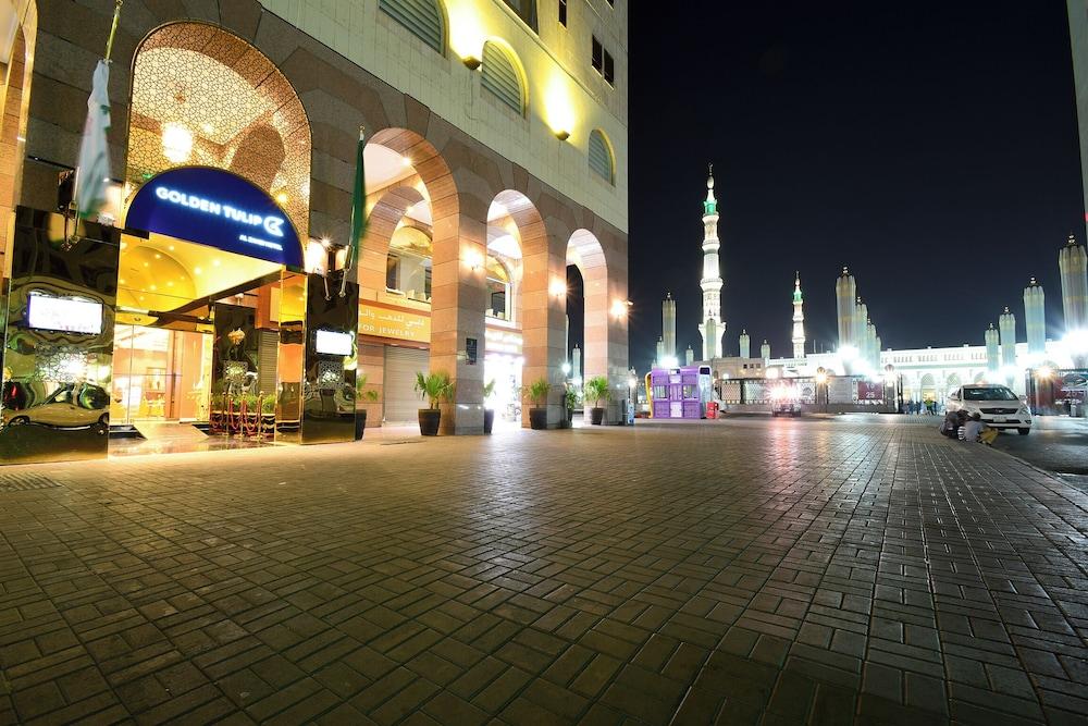 جولدن توليب الذهبي الصورة الأساسية