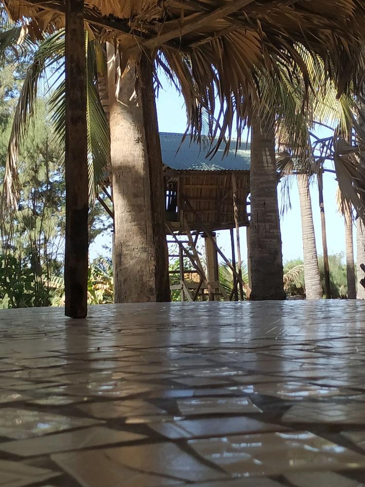 أنسبويلد ساوث جامبيا بارادايس المنطقة الخارجية