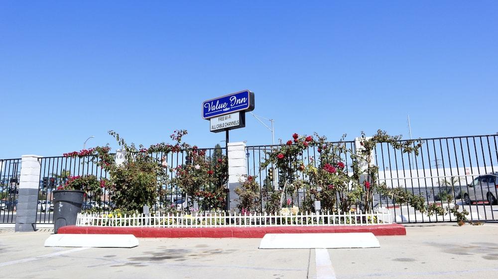 فاليو إن بيلفلاور