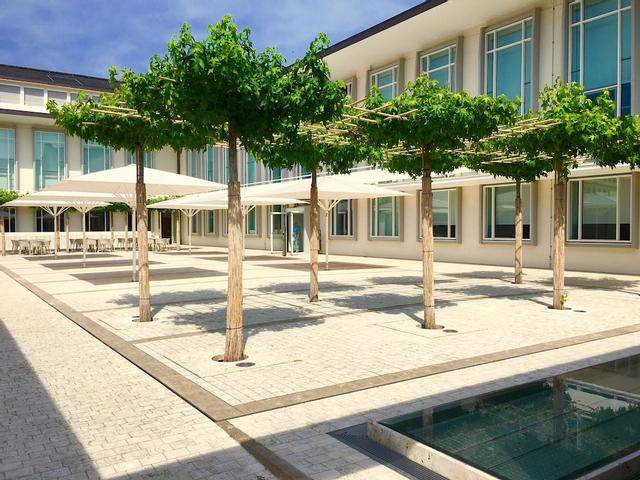 بوركاردوسهاوس - تاجونجزينترم آم دوم